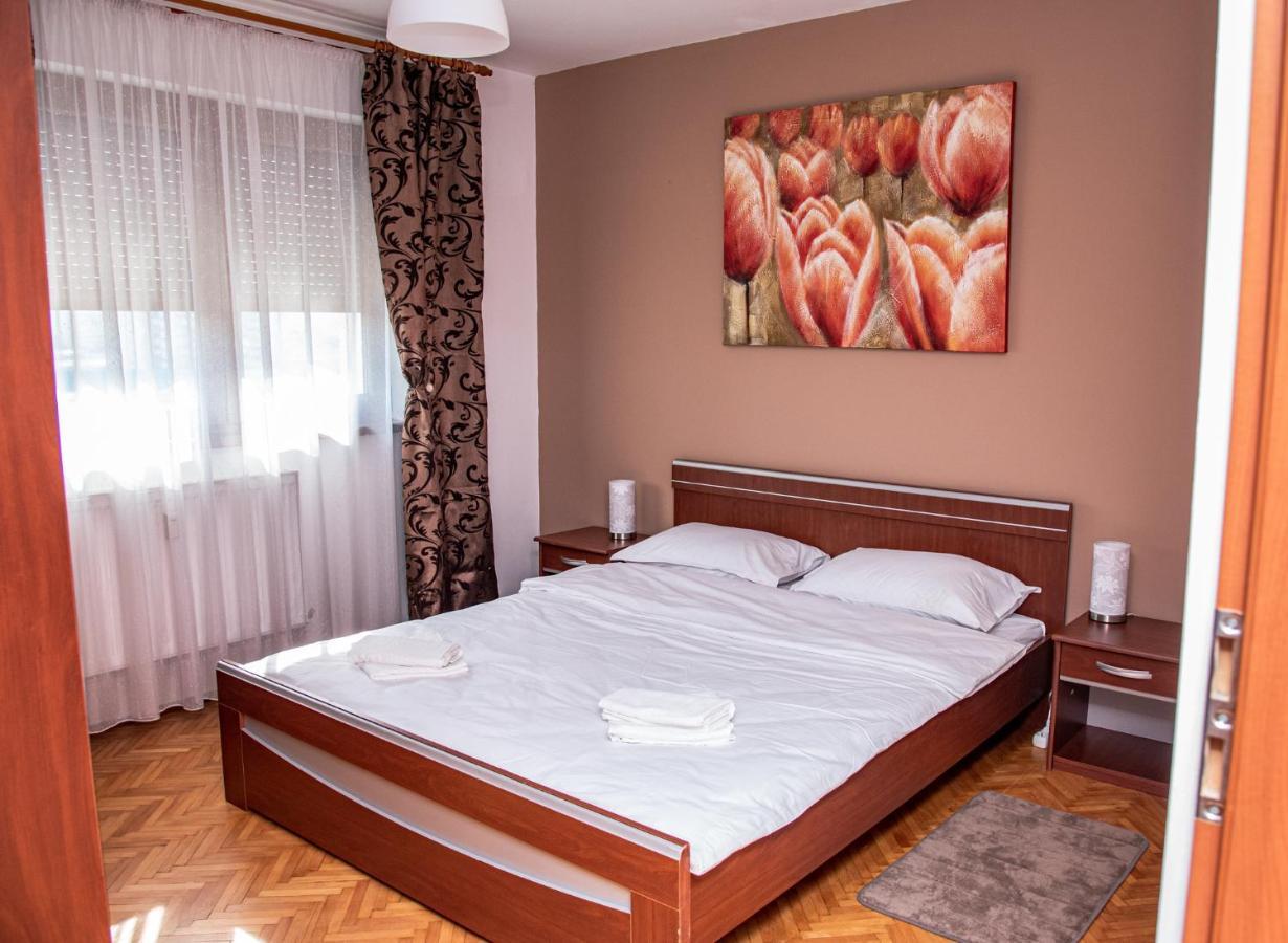 Apartment Bucium Клуж-Напока Екстериор снимка